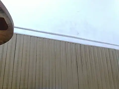 BrianaSofia_TS_ live sex cam