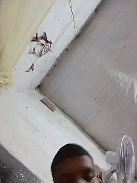 novinho18cm__1