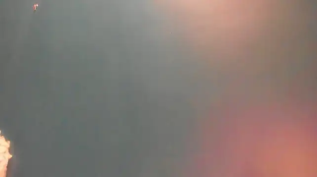Irma_s