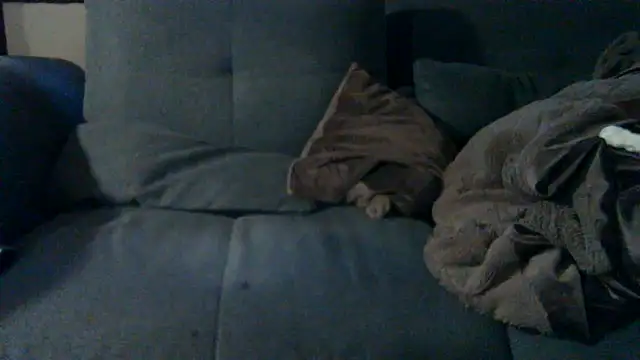 Alexistsuess81's live stream