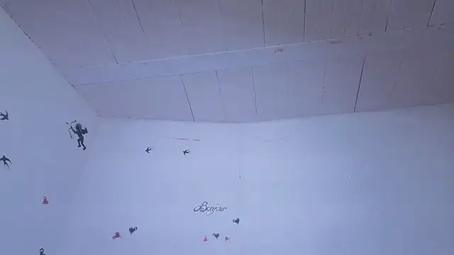 Anto055 live cam preview