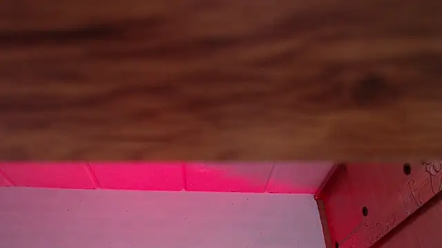 Amy66