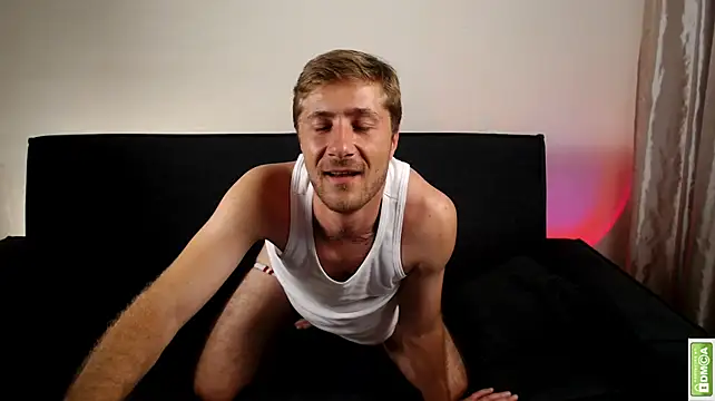Arturswan