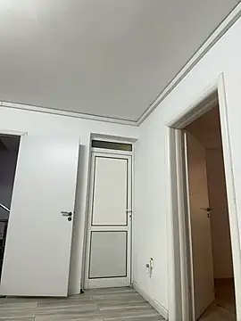 Bunny_Lush