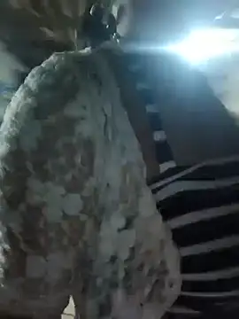 _miuu_lisa live cam preview