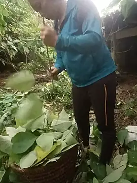 Diana_hi