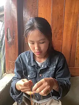 hoa_mai