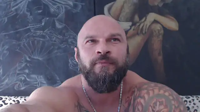 viking_30