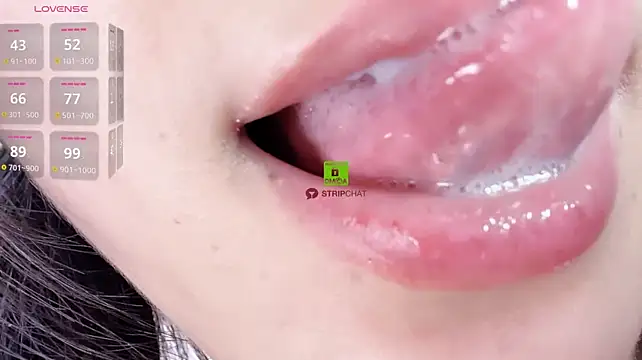 ice1-1e webcam
