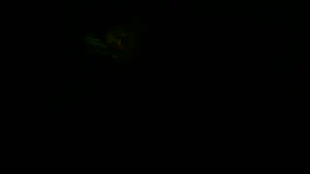 flayeyena webcam