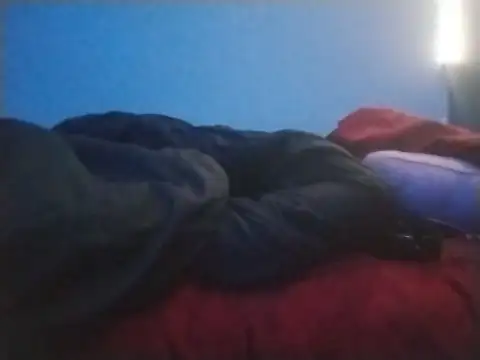 ReallyReallyReal live cam preview