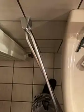 Elektronick