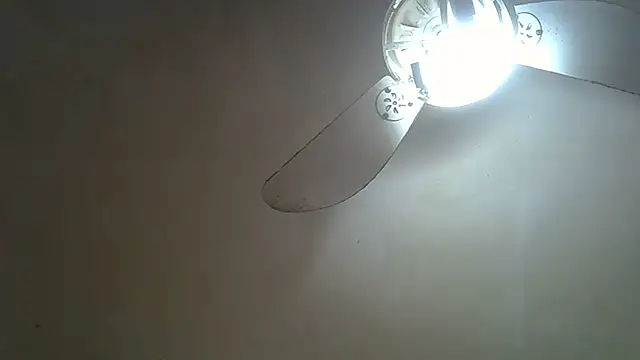 SkinnyKitten live cam
