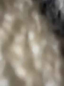 _DiegoMacho