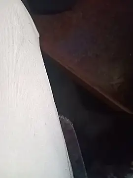 WiseDi live cam on StripChat