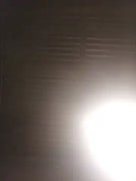 Lexwelll live cam