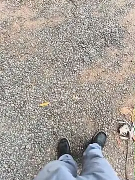 SIGILOCUIABA