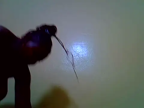 sexymolyy_
