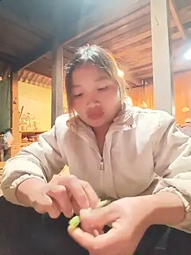 sowbibi- live cam on StripChat