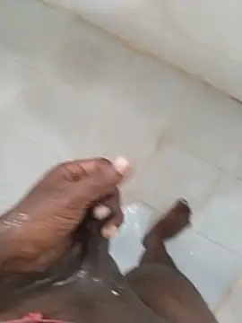Mrveda66