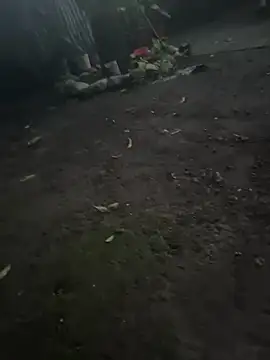 carlosduran13