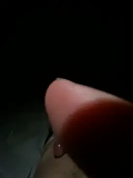 Elvergabonita