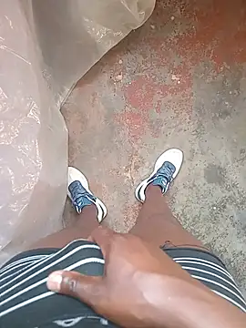 WiseDi