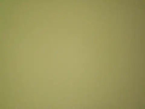spit_queen_ (F milf) - chocolate show full body and shower show