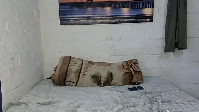 TallHornyTrans live cam