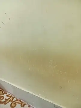 Kittu_Rani25