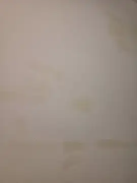 adivaaa