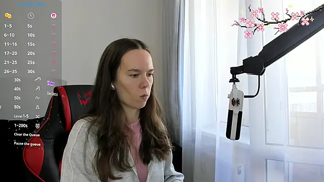 Vulgar_Tamer