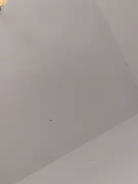 ThomasNackt