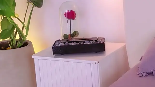 ABY509