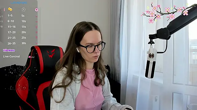 Vulgar_Tamer