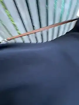 Musae webcam