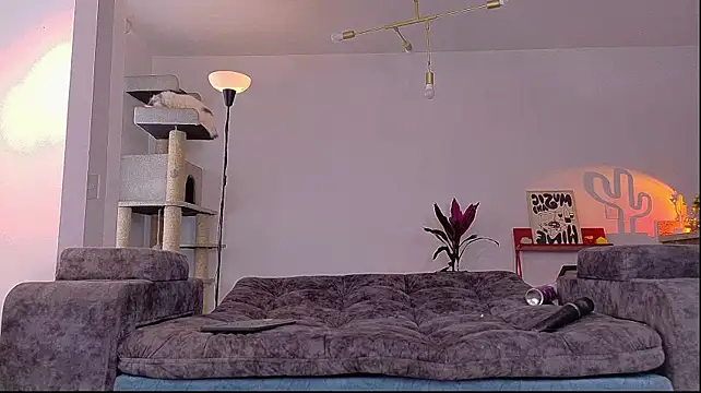 Lexiie1