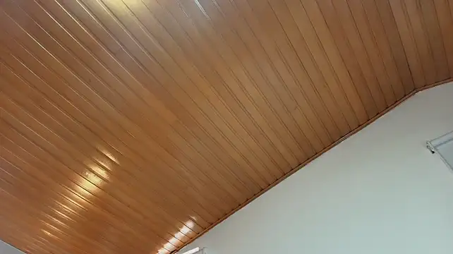 AuroraDiaz