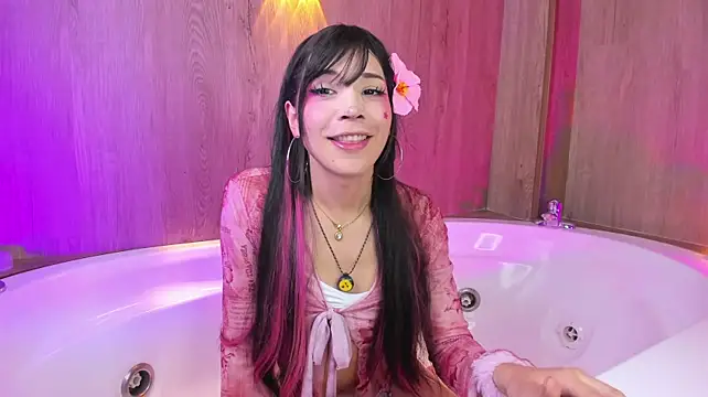Modelo: AliiceWonderland_