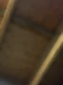 Ldnick69