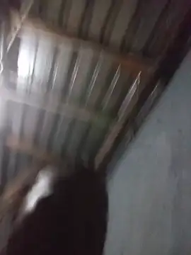 mommysmile live cam preview