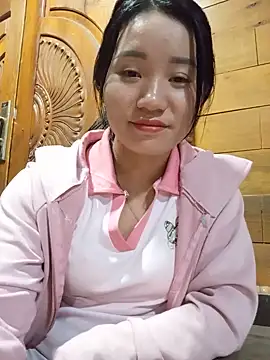 Td3di