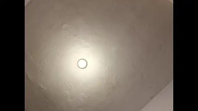 Cataleya_ja