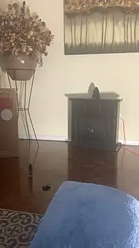 piggylatino