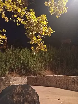 Bella_862