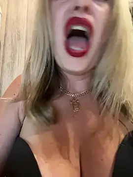 Kittenforyou