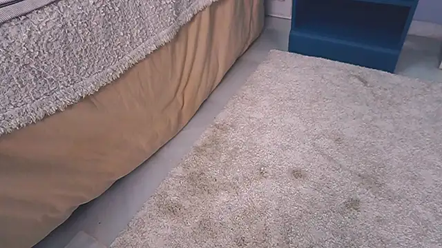 new_dee live cam