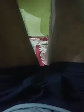 deshighoda1
