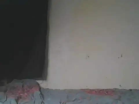 loversoncam
