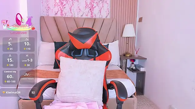 ivy__ros live cam preview